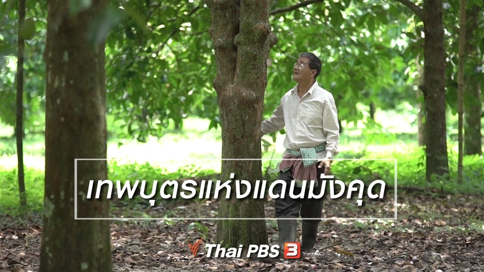 สูงวัยไทยแลนด์ : เทพบุตรแห่งแดนมังคุด