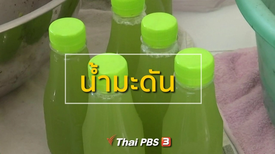 อาชีพทั่วไทย : น้ำมะดัน