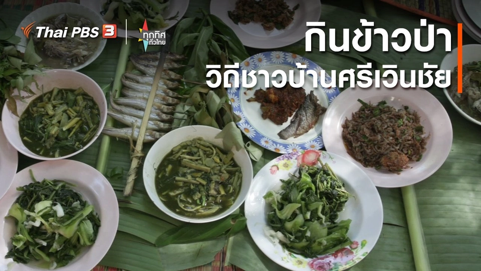 กินข้าวป่า วิถีชาวบ้านศรีเวินชัย