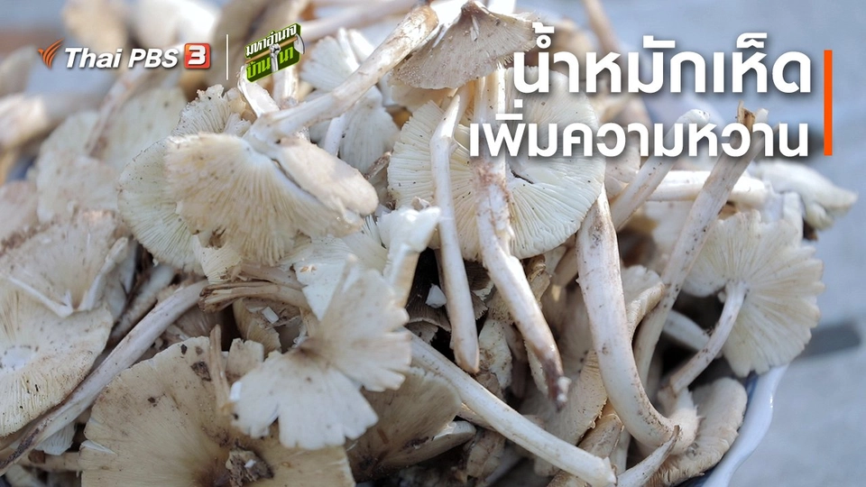 ​สูตรลับฉบับบ้านนา : น้ำหมักเห็ด