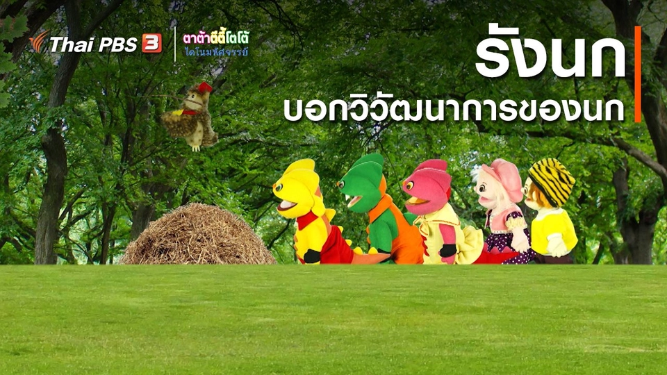 ​เกร็ดน่ารู้กับตาต้าตีตี้โตโต้ : รังนกบอกวิวัฒนาการของนก