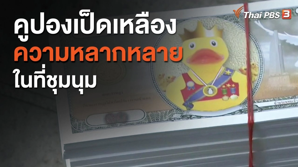 ​คูปองเป็ดเหลือง - ความหลากหลายในที่ชุมนุม
