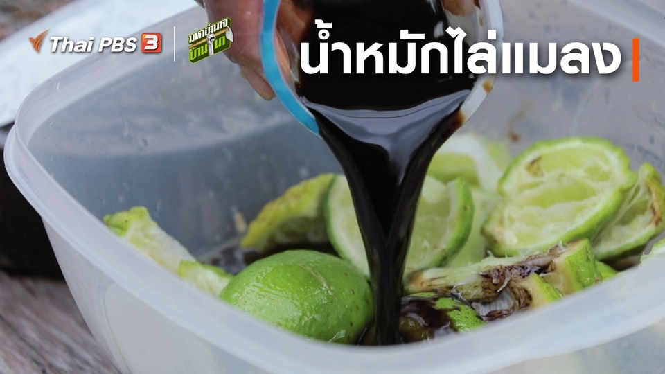 สูตรลับฉบับบ้านนา : น้ำหมักไล่แมลง