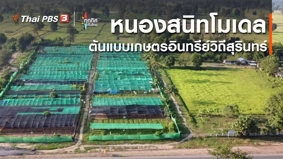​หนองสนิทโมเดล ต้นแบบเกษตรอินทรีย์วิถีสุรินทร์