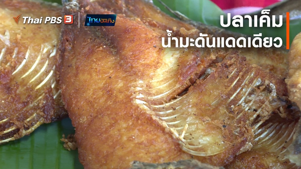 อิ่มมนต์รส : ปลาเค็มน้ำมะดันแดดเดียว บ้านท่าศาลา