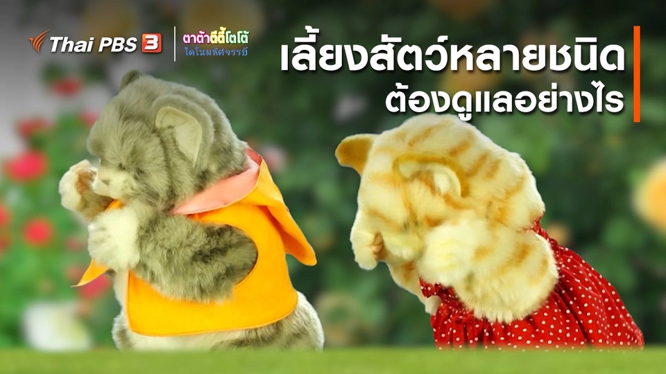 เกร็ดน่ารู้กับตาต้าตีตี้โตโต้ : เลี้ยงสัตว์หลายชนิดต้องดูแลอย่างไร