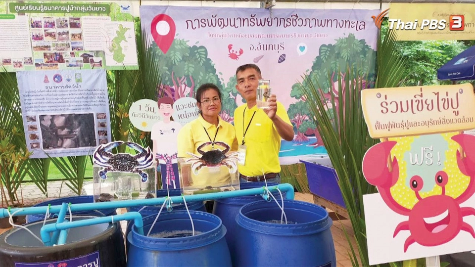 แสงจากพ่อ สู่ความยั่งยืน : พ่อสร้าง เราสาน “ธนาคารปู”