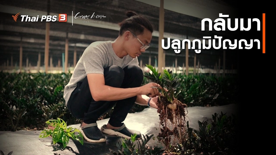 ​เรื่องเล่าคนกลับบ้าน : กลับมาปลูกภูมิปัญญา