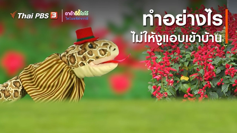 ​เกร็ดน่ารู้กับตาต้าตีตี้โตโต้ : ทำอย่างไรไม่ให้งูแอบเข้าบ้าน