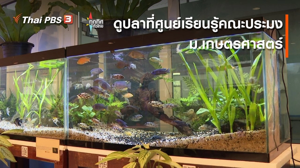 ดูปลาศูนย์เรียนรู้คณะประมง ม.เกษตรศาสตร์