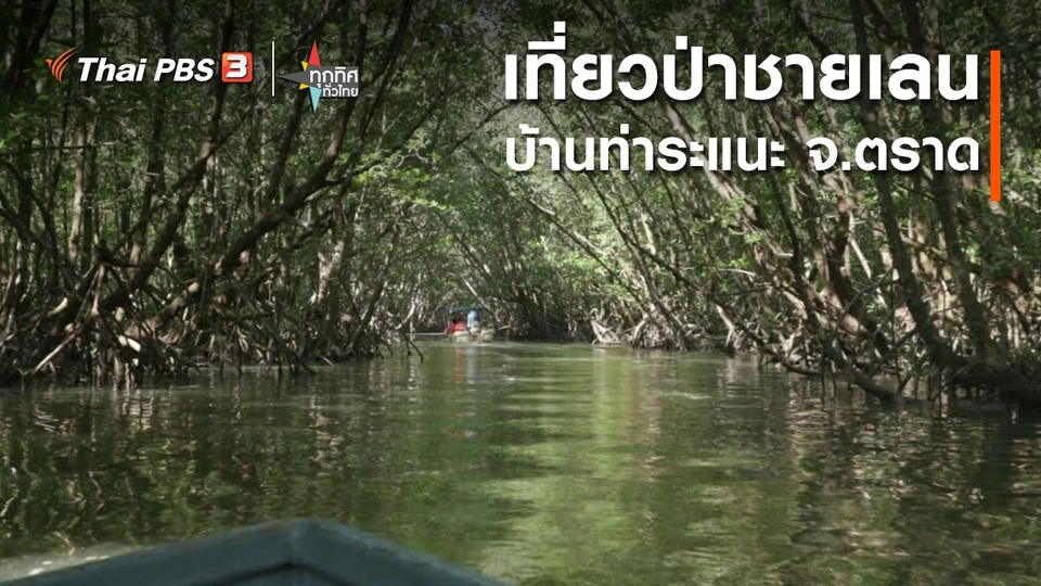 เที่ยวป่าชายเลนบ้านท่าระแนะ จ.ตราด
