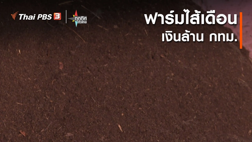 ฟาร์มไส้เดือนเงินล้าน กทม.