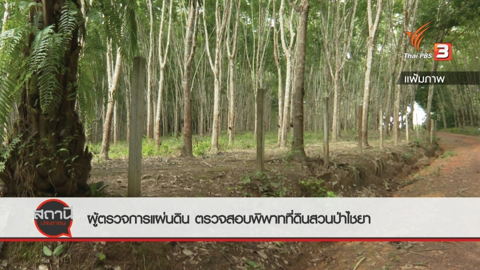 สถานีร้องเรียน : ผู้ตรวจการแผ่นดินตรวจสอบพิพาทที่ดินสวนป่าไชยา จ.สุราษฎร์ธานี