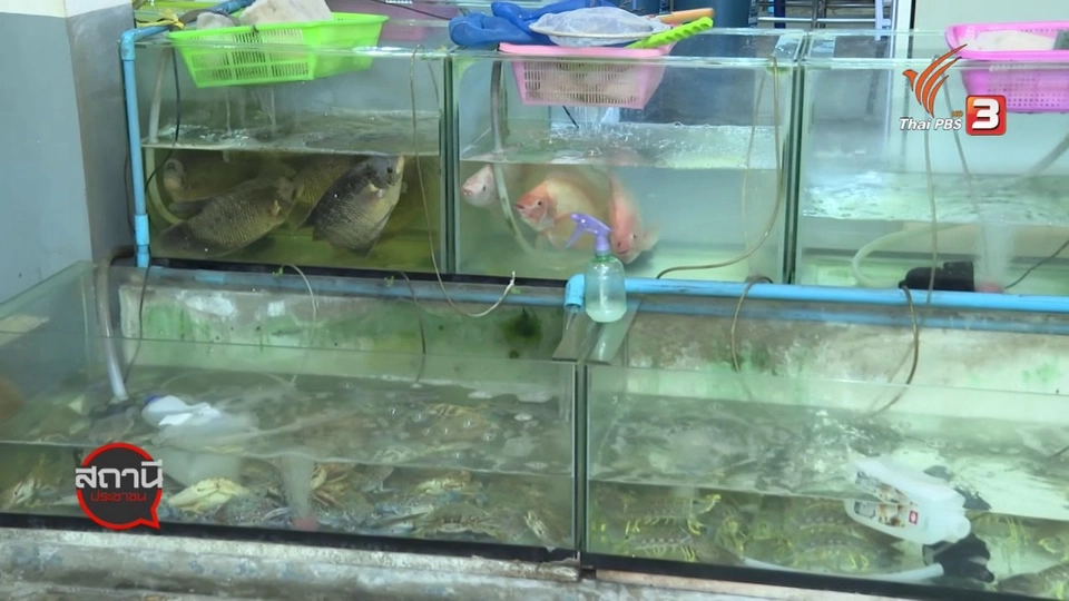 สถานีร้องเรียน : COVID-19 กระทบร้านอาหารทะเล