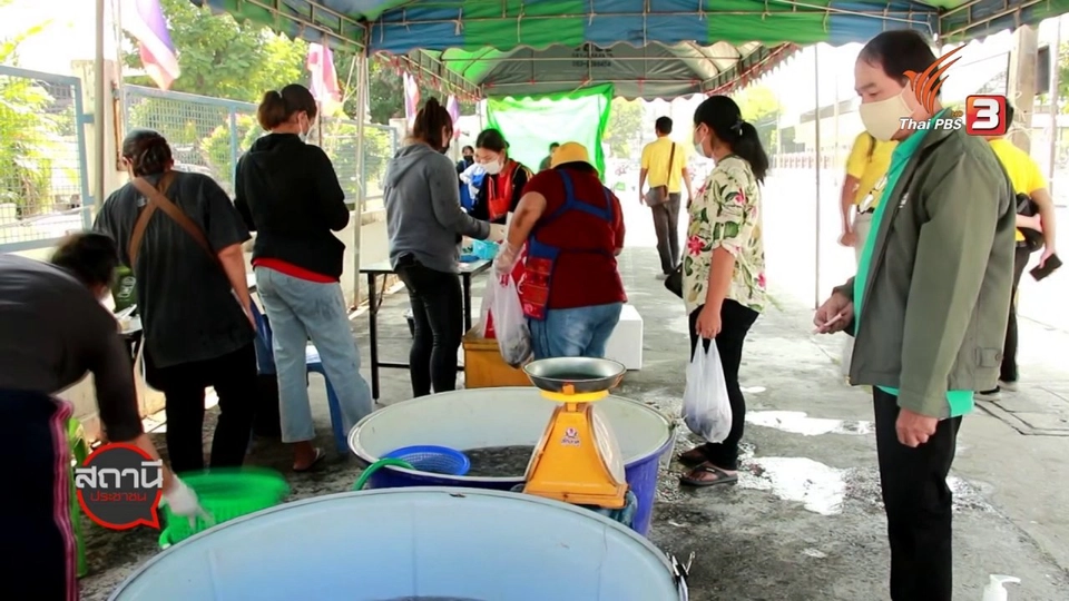 สถานีร้องเรียน : ช่วยเกษตรกร จ.ราชบุรี ขายกุ้งสู้ COVID - 19