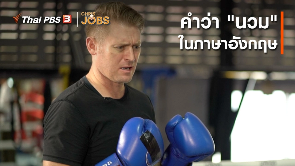 สาระน่ารู้จาก Chris Jobs : คำว่า "นวม" ในภาษาอังกฤษ