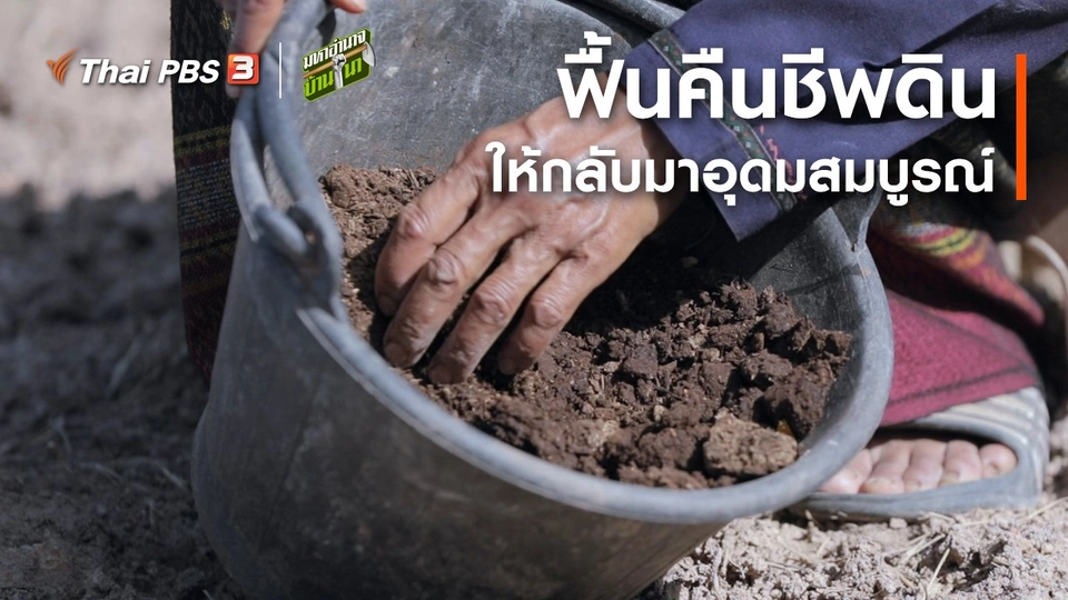 ​สูตรลับฉบับบ้านนา : ฟื้นคืนชีพดิน