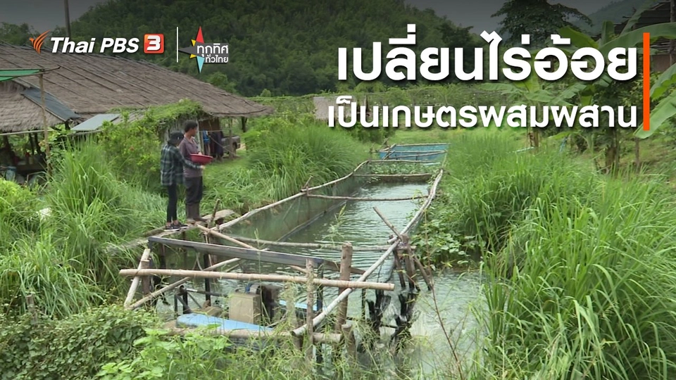 เปลี่ยนไร่อ้อยเป็นเกษตรผสมผสาน จ.สุพรรณบุรี