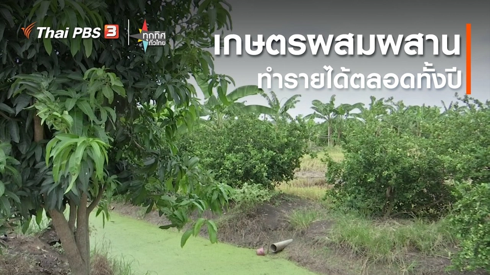 เกษตรผสมผสานทำรายได้ตลอดทั้งปี