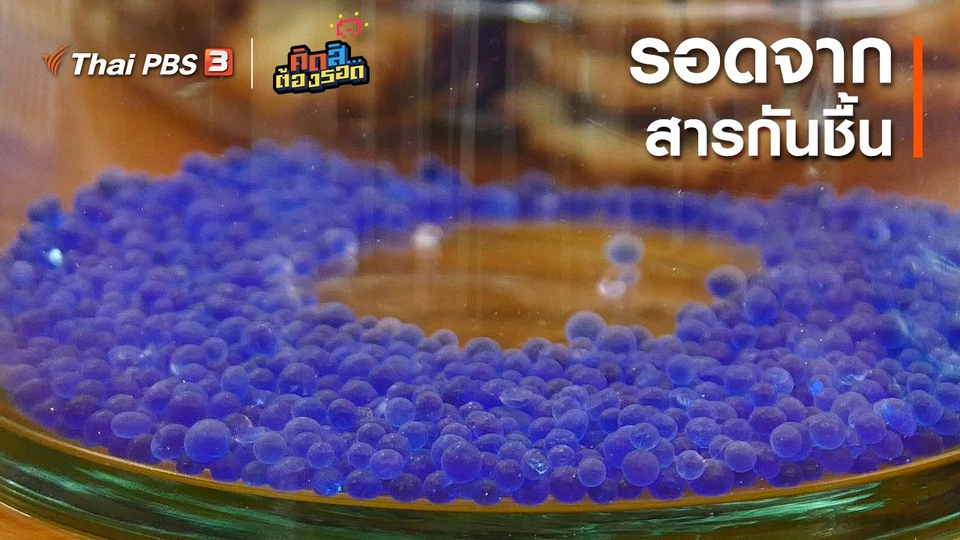 รอดจากสารกันชื้น