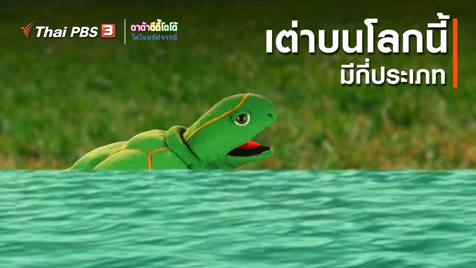 เกร็ดน่ารู้กับตาต้าตีตี้โตโต้ : เต่าบนโลกนี้มีกี่ประเภท