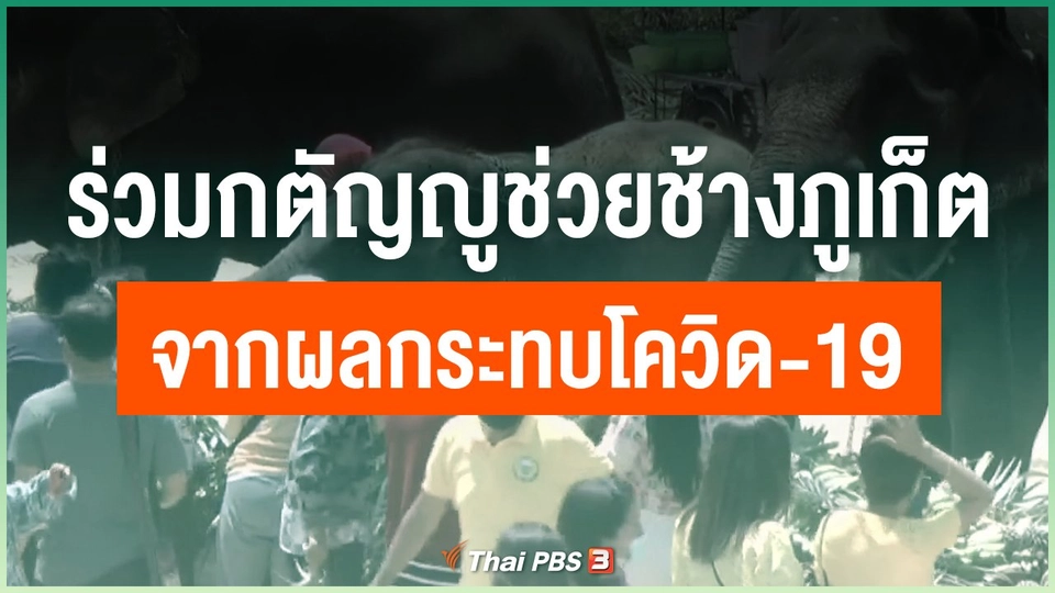 ร่วมกตัญญูช่วยช้างภูเก็ตจากผลกระทบโควิด-19