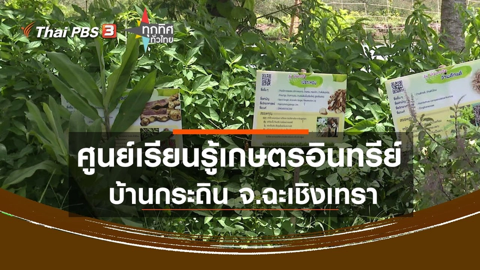 ศูนย์เรียนรู้เกษตรอินทรีย์บ้านกระถิน จ.ฉะเชิงเทรา
