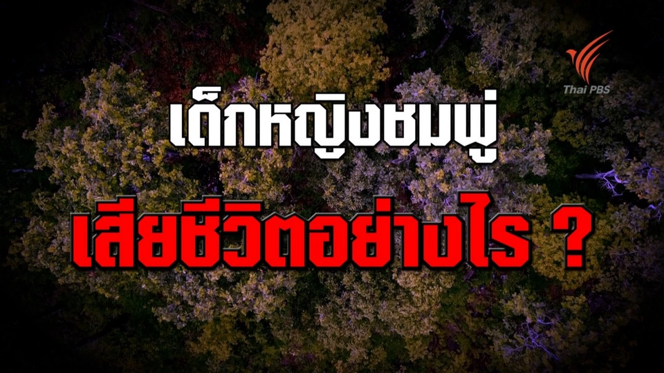 เด็กหญิงชมพู่เสียชีวิตได้อย่างไร ?