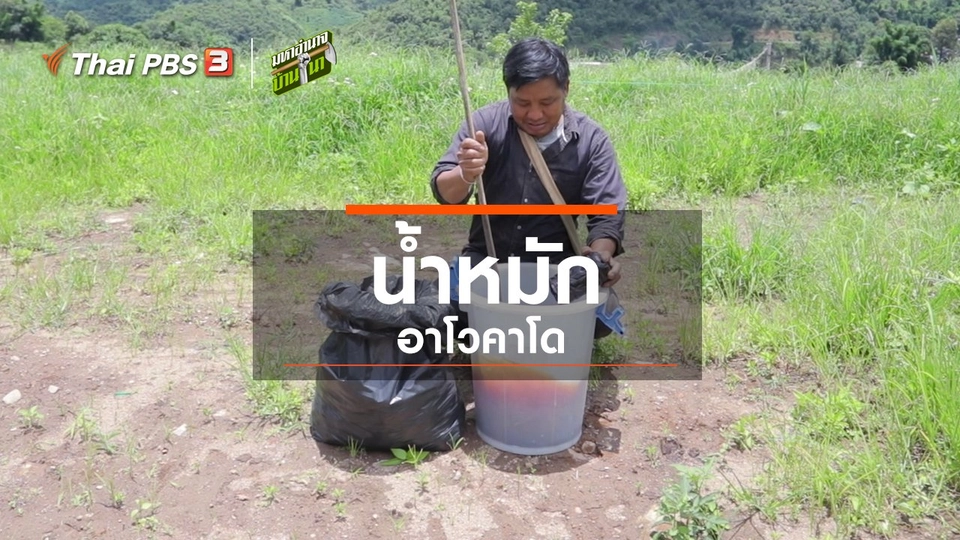 ​สูตรลับฉบับบ้านนา : น้ำหมักอาโวคาโด