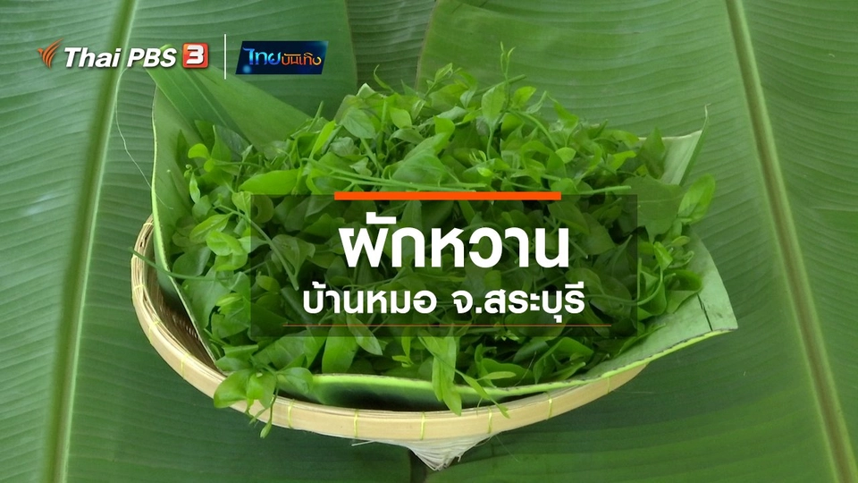 อิ่มมนต์รส : ผักหวานบ้านหมอ จ.สระบุรี