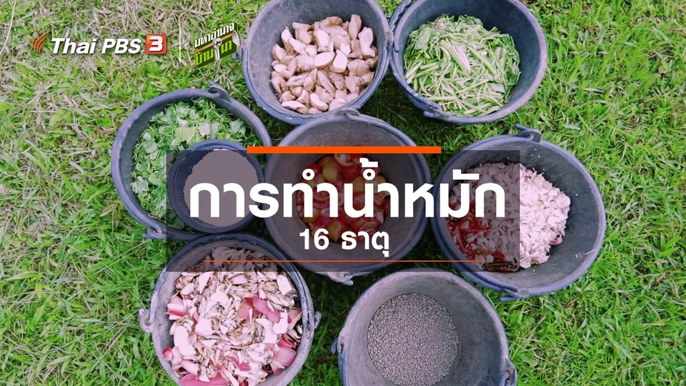 ​สูตรลับฉบับบ้านนา : การทำน้ำหมัก 16 ธาตุ