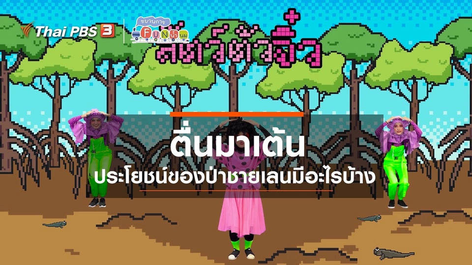 ตื่นมาเต้น : ประโยชน์ของป่าชายเลนมีอะไรบ้าง