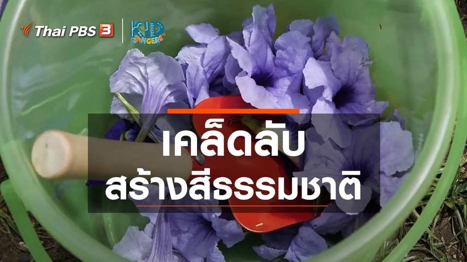 ​คิดส์เรียนรู้ : เคล็ดลับสร้างสีธรรมชาติ
