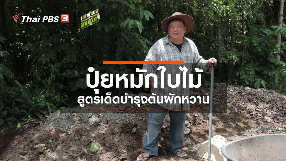 สูตรลับฉบับบ้านนา : ปุ๋ยหมักใบไม้