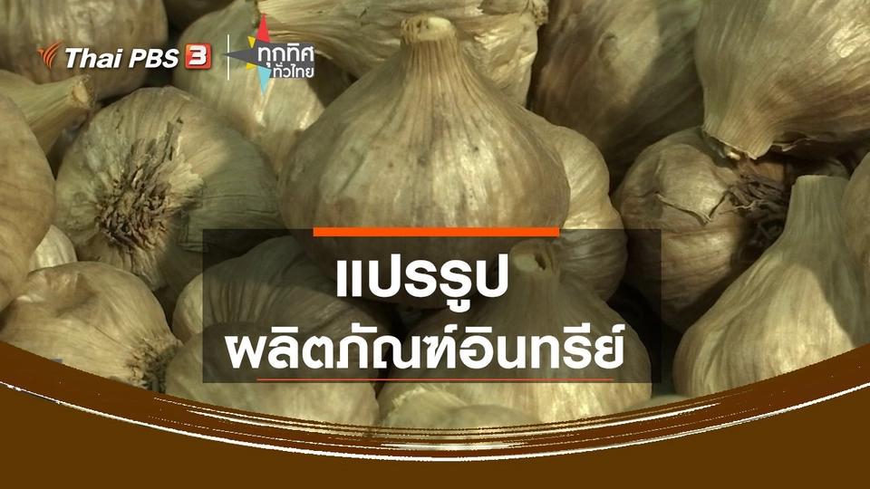 แปรรูปผลิตภัณฑ์อินทรีย์ จ.ลำพูน