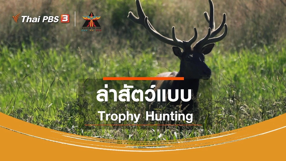 เรื่องเล่าการเดินทาง : ล่าสัตว์แบบ Trophy Hunting