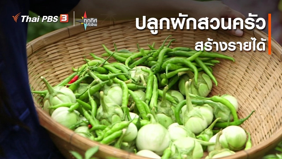 ปลูกผักสวนครัวสร้างรายได้