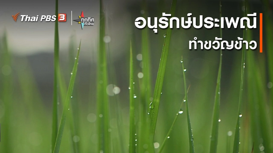 อนุรักษ์ประเพณีทำขวัญข้าว