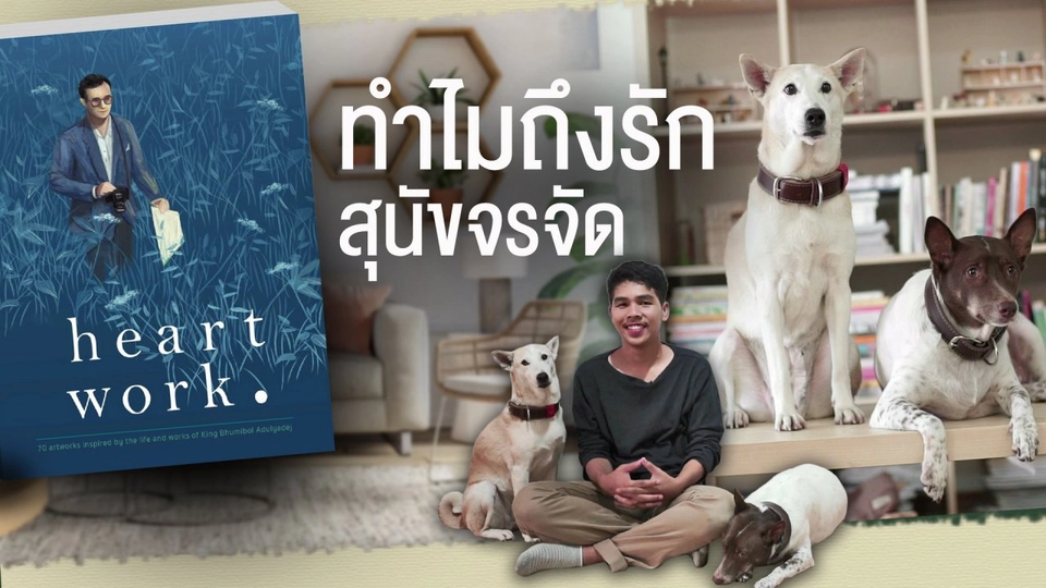 ทำไมถึงรักสุนัขจรจัด