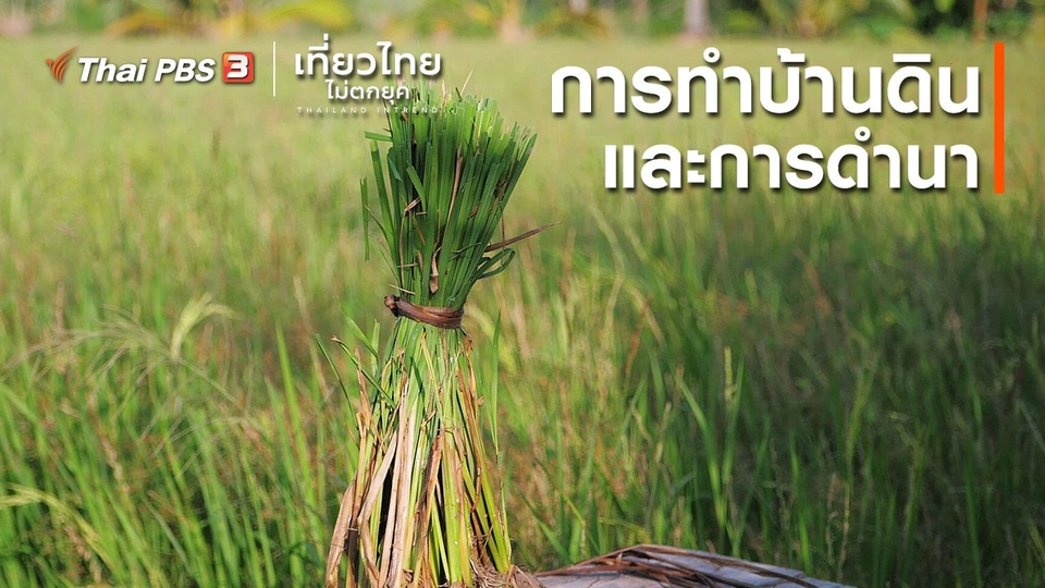 ​เที่ยวทั่วไทย : เรียนรู้การทำบ้านดินและการดำนา