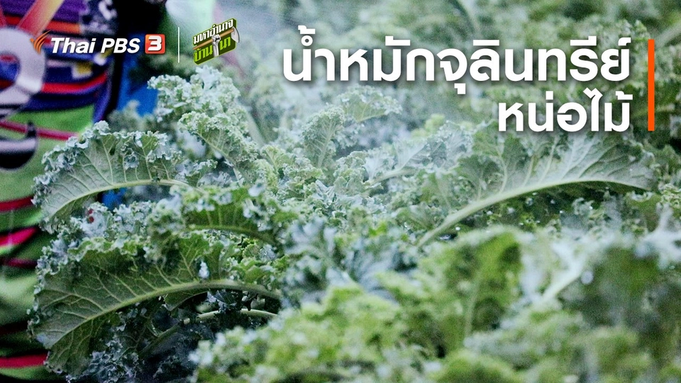 สูตรลับฉบับบ้านนา : น้ำหมักจุลินทรีย์หน่อไม้