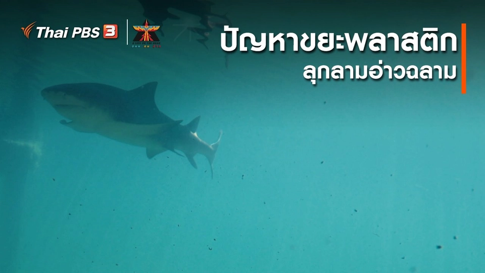 เรื่องเล่าการเดินทาง : ปัญหาขยะพลาสติกลุกลามอ่าวฉลาม