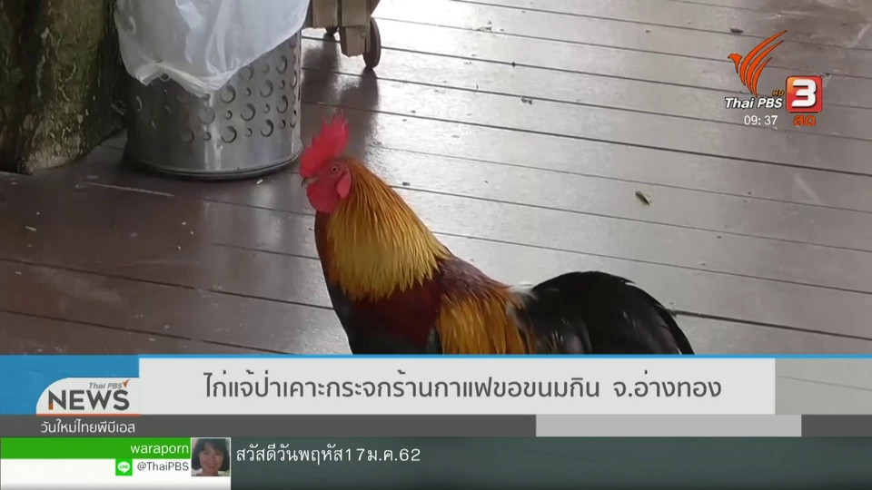 สีสันทั่วไทย (17 ม.ค. 62)