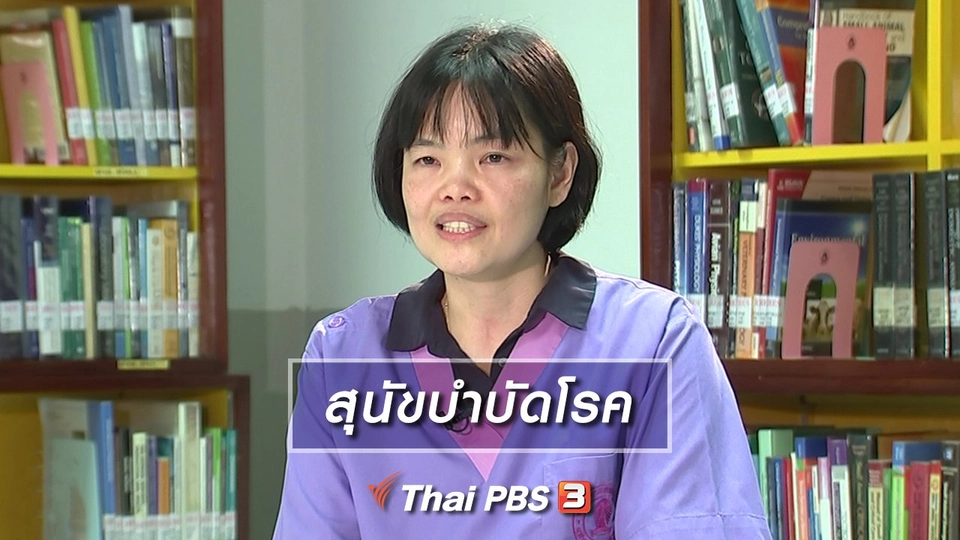 สุนัขบำบัดโรค