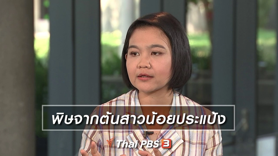 พิษจากต้นสาวน้อยประแป้ง