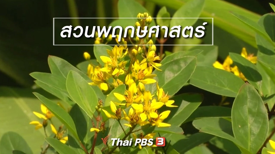 ตะลุยทั่วไทย : สวนพฤกษศาสตร์