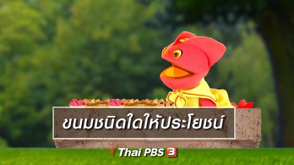 เกร็ดน่ารู้กับตาต้าตีตี้โตโต้ : ขนมชนิดใดให้ประโยชน์