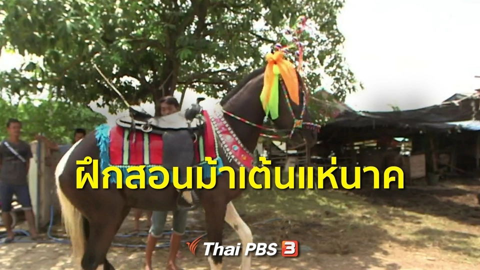 ชุมชนทั่วไทย : ฝึกสอนม้าเต้นแห่นาค
