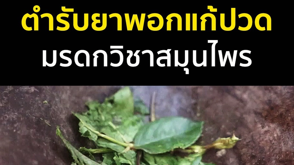 ตำรับยาพอกแก้ปวด