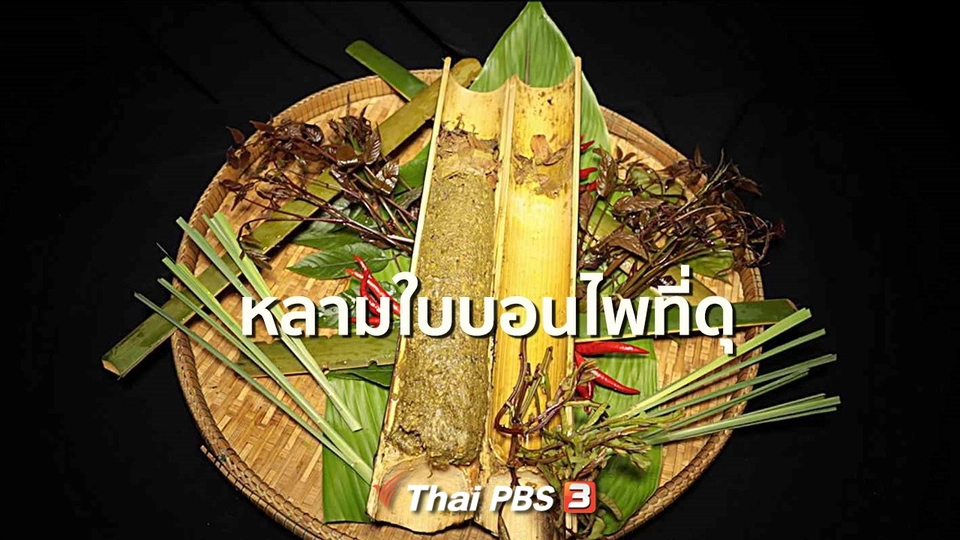 สูตรอาหารพื้นบ้าน : หลามใบบอนไพที่ดุ